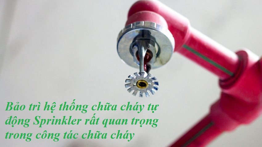 Đầu phun chữa cháy Chungmei được đánh giá cao nhờ khả năng hoạt động bền bỉ.