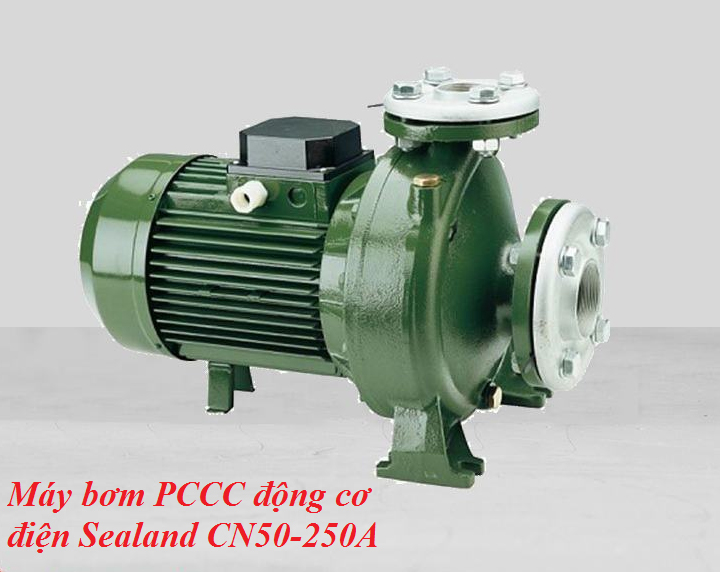 Máy bơm PCCC động cơ điện Sealand CN50-250A