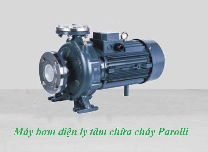 Máy bơm động cơ điện PCCC ly tâm Parolli PST 50-200/150